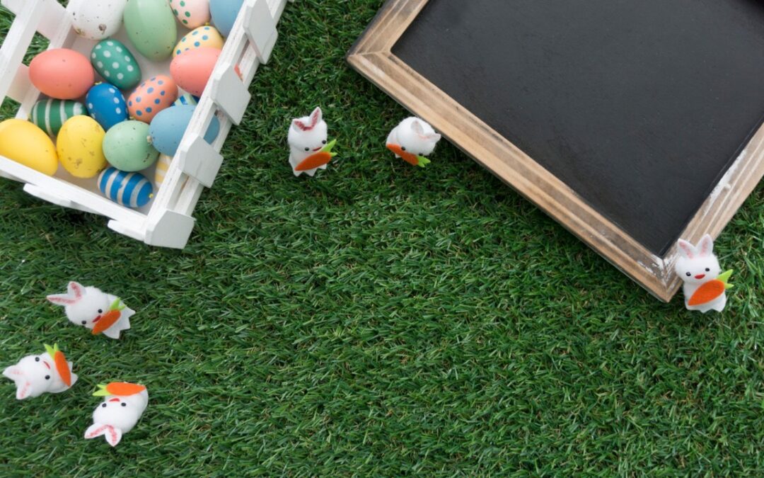 Instalación de césped artificial en colegios y zonas deportivas