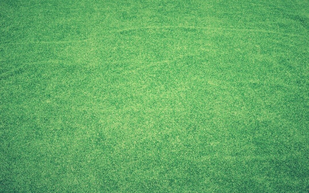 Cómo evitar que el césped artificial se decolore con el sol