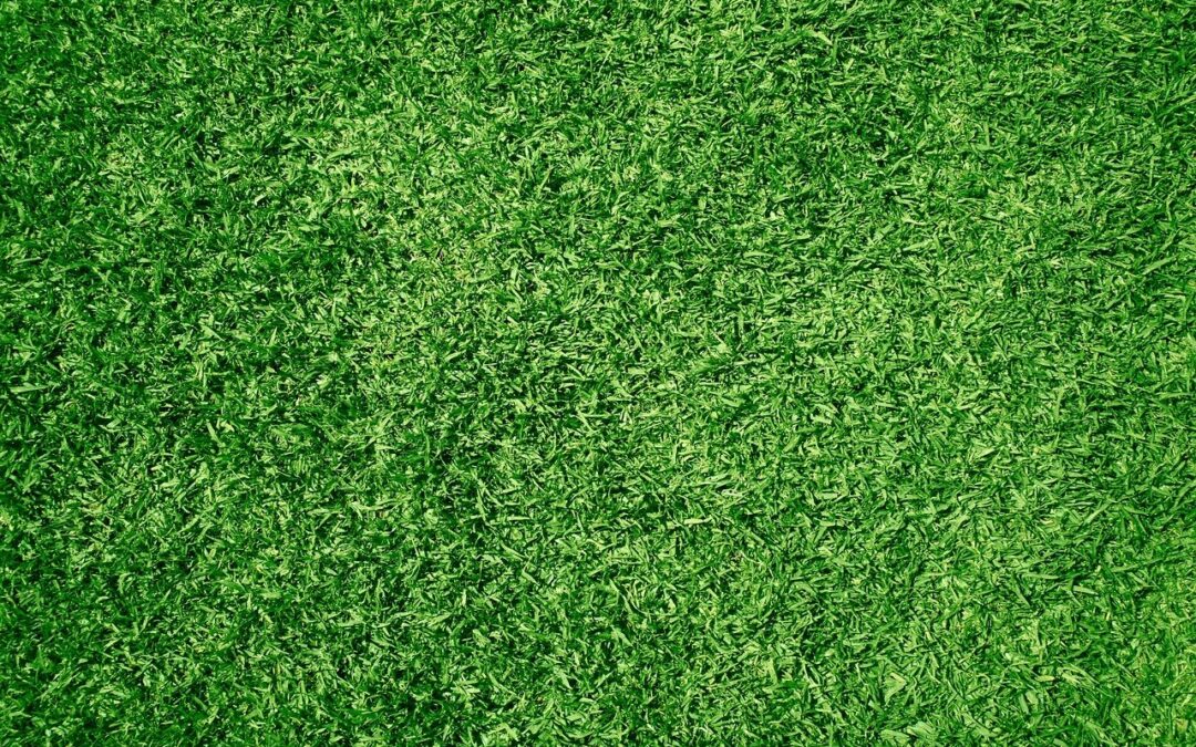 Qué hacer si el césped artificial acumula agua o se encharca