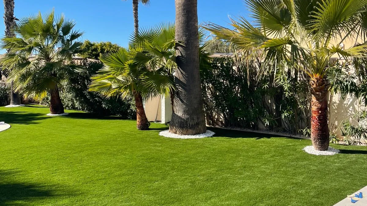 Césped artificial en jardín, palmeras junto a vivienda